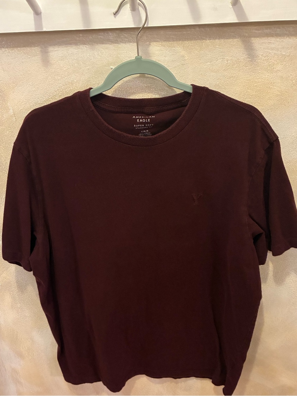 American Eagle Outfitters Men's Crewneck T‑Shirt in Dark Burgundy Size Large